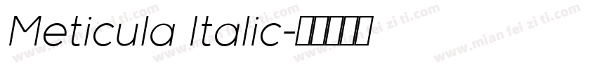 Meticula Italic字体转换